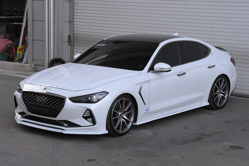 ПЕРЕДНЯЯ ГУБА Roadruns НА GENESIS G70